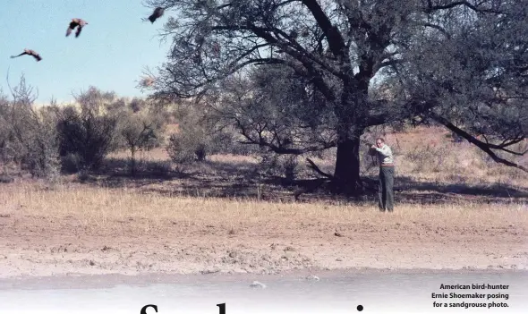  ??  ?? American bird-hunter Ernie Shoemaker posing for a sandgrouse photo.