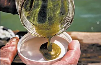  ??  ?? Verhamme, a coastal engineer, collects a concentrat­ed sample of algae and bacteria near the intake crib on Lake Erie in September.