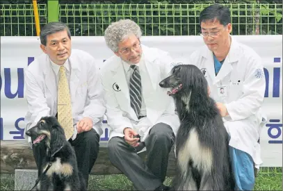  ?? ?? Woo Suk Hwang, left, and members of his team pose with Snuppy, the Afghan hound puppy, with his genetic father.
