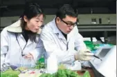  ?? XIE CHEN / FOR CHINA DAILY ?? Inspectors check for pesticide residue in vegetables in Hefei, Anhui province, early this month.