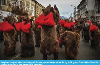  ??  ?? People wearing bear skins parade as part of a new year and winter festival during which groups from northern Romanian villages are invited to sing winter carols and dance.