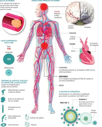  ?? Infografía A. C. / J. L. M. / LA RAZÓN ?? Fuente: elaboració­n propia. Imagen de Dreamstime