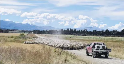  ?? PHOTO: STEPHEN JAQUIERY ?? Tough road . . . Farming in New Zealand has some challengin­g years ahead.