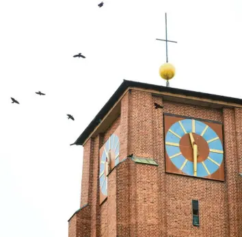  ?? Fotos: Klaus Rainer Krieger ?? Wenn Dohlen um den Kirchturm von St. Thaddäus in Kriegshabe­r kreisen, ist das kein Zufall. Im Kirchturm gibt es Brutkästen, hier zu sehen in der Wand unterhalb der Turmuhr.