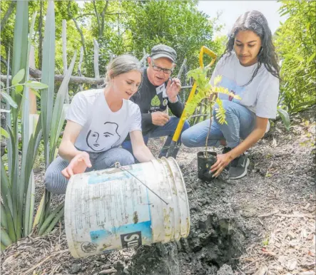  ?? PHOTO: WARREN BUCKLAND ?? Taikura Rudolf Steiner Class 10 students Willow Zuiderwijk (left), and Zahara Ali (right) with guest of honour Ruud Kleinpaste plant a Ka¯ ka¯ beak tree during the blessing of the biodiversi­ty garden at Taikura Rudolf Steiner.