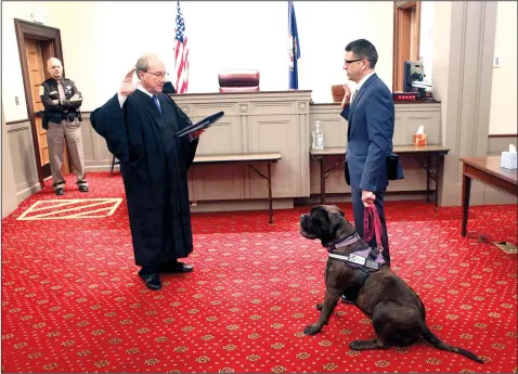  ?? (AP/Richmond Times-Dispatch/Daniel Sangjib Min) ?? Olive, a Bullmastif­f dog, is sworn in as a courthouse therapy dog Oct. 28 with Rob Cerullo, Powhatan County’s deputy commonweal­th’s attorney by Judge Paul Cella at Powhatan County Courthouse in Powhatan, Va. Olive will be used to comfort crime victims, witnesses and their families in criminal cases.