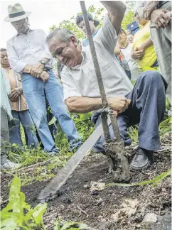  ?? PABLO COZZAGLIO / AFP / GETTY IMAGES ?? Ecuadorian Jose Conte digs up oil slime on his land in September 2017 near an area contaminat­ed with oil from a now abandoned well in the Ecuador rain forest.