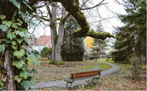  ?? Foto: Leonie Junghanns ?? Der Schneidt’sche Garten soll verschöner­t werden, die Nachbarn wollen ihn so belassen wie er ist. Gestern trafen sich die Konfliktpa­rteien nun vor Ort zu einem Gespräch. Nicht alle strittigen Punkte konnten ausgeräumt werden.