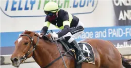  ?? Picture: JC Photograph­ics ?? GAMEPLAN. Astrix could benefit from a change in strategy when he contests the Grade 3 Victory Moon Stakes over 1800m at Turffontei­n tomorrow.