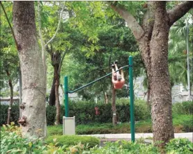  ?? @SAPPHIREFU­NG / INSTAGRAM ?? A man exercises on a horizontal bar at a park in Ma On Shan.