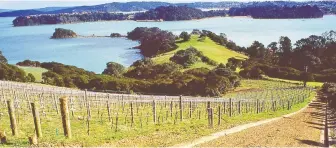  ?? DANIEL WOOD ?? On the North Island, scores of wineries, artisanal cheesemake­rs, and roadside bakeries lure cyclists in for local treats and libations.