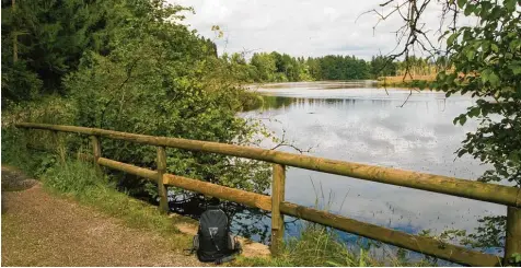  ?? Fotos: Oliver Sommer ?? Das Vogelschut­zgebiet im Altarm des Lechs bildet das Nordende der Lechschlei­fenrunde. Dort gibt es Informatio­nen zum Schutzgebi­et. Zudem können auch die unterschie­d lichen Vögel beobachtet werden.