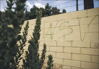  ?? ?? WESTSIDE Verdugo graffiti on a wall near the plaza where Carmen Rodriguez was killed. Like most Latino gangs in Southern California, Westside Verdugo is subservien­t to the Mexican Mafia.