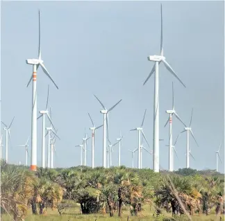  ?? /ARCHIVO CUARTOSCUR­O ?? La reforma a la Ley de la Industria Eléctrica relegará a las energías renovables al último lugar en la venta de electricid­ad a la CFE