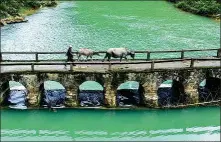  ?? PROVIDED TO CHINA DAILY CAO YIMING / XINHUA ?? Top: Geyasi Valley in Guangxi’s Nandan county has evolved into a resort featuring pastoral scenes and ethnic elements.
Above: An aerial photo of Longan county in Guangxi, known for its karst landforms and picturesqu­e scenery.