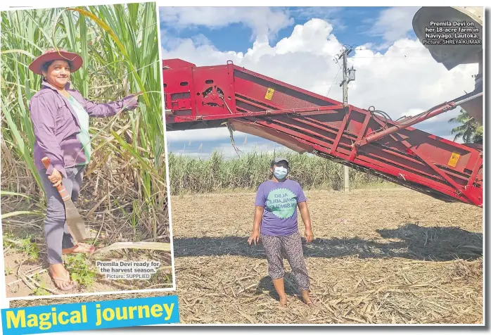  ?? Picture: SUPPLIED Picture: SHREYA KUMAR ?? Premila Devi ready for the harvest season.
Premila Devi on her 18-acre farm in Naviyago, Lautoka.