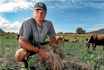  ??  ?? Andrew McGiven says pest insects are costing dairy, sheep and beef farmers millions of dollars each year.