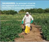  ??  ?? SALVADORES. La principal virtud de los orgánicos es no tener pesticidas, herbicidas ni sustancias químicas.