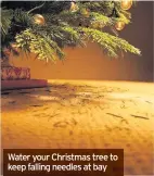  ??  ?? Water your Christmas tree to keep falling needles at bay