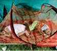  ?? Foto: dpa ?? Diese Kinder leben in Indien und schlafen unter einem Moskitonet­z.