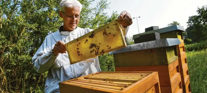  ?? Fotos: Marcus Merk ?? Imker Christian Schröttle betreut die Bienenvölk­er und macht den Besuch im Bienenpark zu einem lehrreiche­n, spannenden Event.