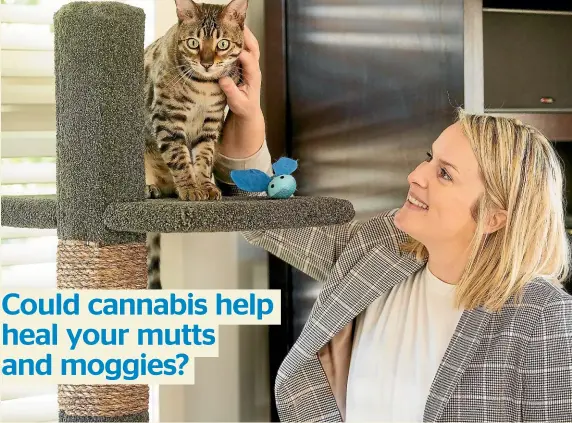  ?? CHRIS MCKEEN/STUFF ?? Leila de Koster wants to create the world’s first registered CBD oils for dogs and cats.