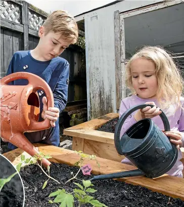  ??  ?? Hudson and Billie enjoy watering the plants once they’re in the soil.