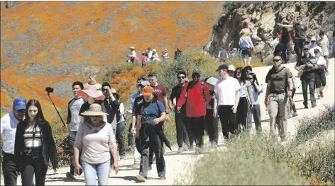  ?? AP PHOTO/GREGORY BULL ?? People walk among wildflower­s in bloom on March 18, 2019, in Lake Elsinore, Calif.