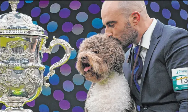  ?? Joe Giddens The Associated Press ?? A Lagotto Romagnolo named Orca, with handler Javier Gonzalez Mendikote, won Best in Show on Sunday during the fourth day of the Crufts Dog Show at Birmingham National Exhibition Centre in England.