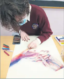  ?? ?? TY students in Mitchelsto­wn worked with past pupil and artist Coireall Kent to creative beautiful artwork, unveiled recently in the school.