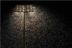  ??  ?? Thousands of moths swarm around floodlight­s. Artificial light at night can affect every aspect of insects’ lives, the researcher­s said. Photograph: Simone De Peak/Getty Images