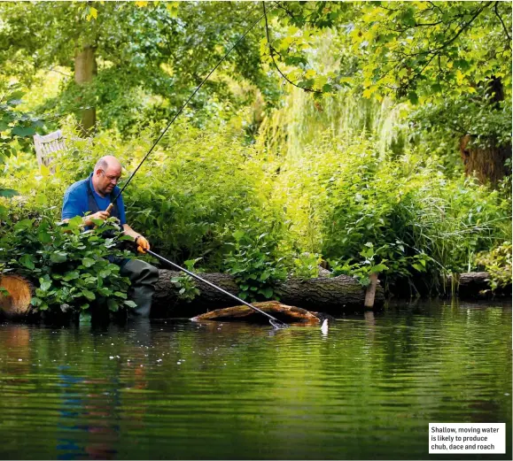  ??  ?? Shallow, moving water is likely to produce chub, dace and roach