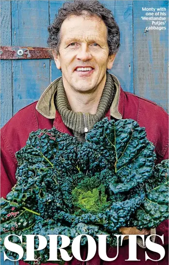  ??  ?? Monty with one of his ‘Westlandse Putjes’ cabbages