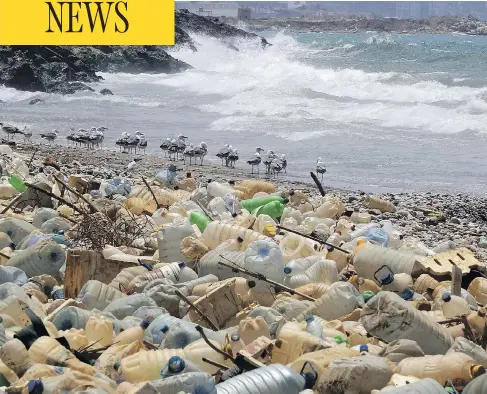  ?? JOSEPH EID/AFP/GETTY IMAGES ?? Seagulls search for food next to piles of plastic bottles and other marine debris on the shore near Beirut’s southern suburb of Ouzai on Wednesday.