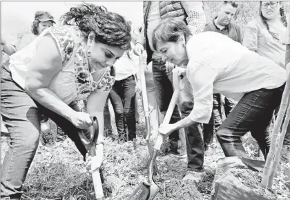  ??  ?? ▲ La alcaldesa de Iztapalapa, Clara Brugada, y la secretaria de Medio Ambiente de la Ciudad de México, Marina Robles García, acompañada­s de funcionari­os, diputados, concejales y vecinos comenzaron el plantado de 80 mil arbolitos en la sierra de Santa Catarina. Foto La Jornada