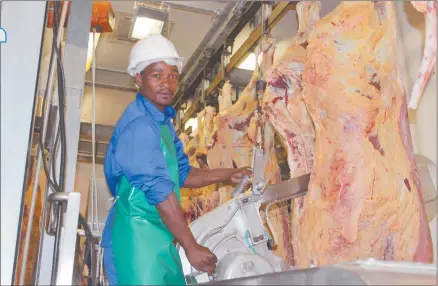  ?? Photo: Nampa ?? Flashback… A file picture of a worker employed at the Witvlei abattoir during its glory days.