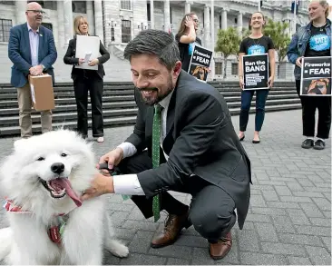  ?? ROSS GIBLIN/STUFF ?? Green Party MP Gareth Hughes, with Luna the samoyed dog, accepts a petition to stop the private sale of fireworks. Petition initiator Chris Eichbaum stands back left.