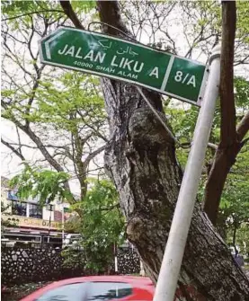  ?? PIC COURTESY OF READER ?? The road sign which has fallen
on the tree since January.