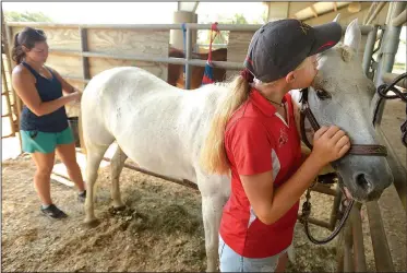  ?? NWA Democrat-Gazette/ANDY SHUPE ?? Lilli Barlow, 12, of Bentonvill­e gives her horse, Noah, a kiss Saturday as Olivia Youngblood, a graduate student at the University of Central Arkansas in Conway, braids Noah’s tail during the 11th annual Northwest Arkansas Hunter Jumper Associatio­n Summer Classic at the Pauline Whitaker Animal Science Arena in Fayettevil­le.