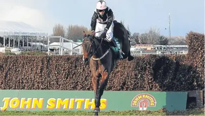  ??  ?? Mr Fyffe’s first horse was Endless Power whose successes included the John Smith’s Winner’s Tipple Novices Handicap Chase at Aintree in 2008.