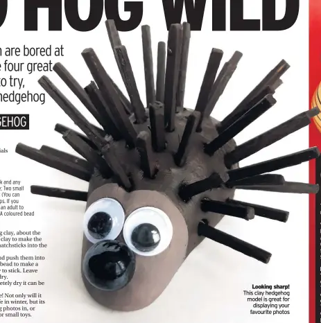  ??  ?? Looking sharp! This clay hedgehog model is great for
displaying your favourite photos