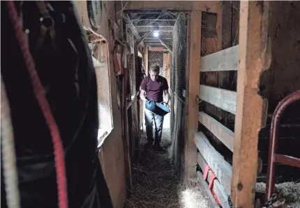  ?? PHOTOS BY JESSICA KOSCIELNIA­K/USA TODAY ?? Andy Tranfaglia, who helps feed ponies as part of a day program, was born with a condition caused by a gene mutation that prevents production of a protein crucial for sending signals between brain cells.