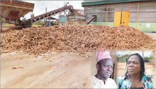  ??  ?? Psaltry cassava factory at Ado Awaye