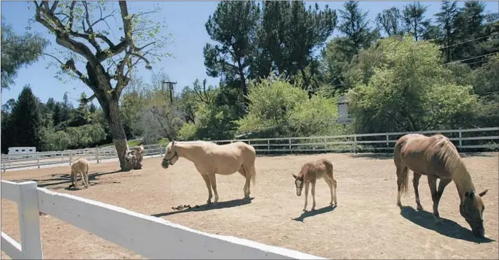  ?? Anne Cusack Los Angeles Times ?? EQUESTRIAN ACTIVITIES are central to life in Hidden Hills. A sign inside the city advises and informs: “Slow down, relax. Children and horses at play.”