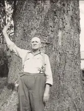 ??  ?? 1959 Mnr. W. Lemmer (72) van Hartbeesfo­ntein is vyf jaar ouer as dié bloekomboo­m, wat hy van meet af aan op sy plaas sien groei het. Hy het sowat 60 boomsoorte op sy plaas geplant.