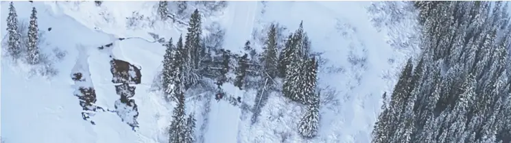  ?? COASTAL GASLINK ?? Coastal Gaslink provided aerial photos to the Financial Post that were taken Monday showing dozens of trees downed along the road.