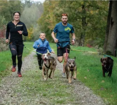  ?? FOTO RAYMOND LEMMENS ?? Ho-Tsin, Torden en Tim met de honden Jockl, Moon en Lena. Het gezin houdt een vurig pleidooi voor het canicrosse­n als sport. “Het maakt de hond gelukkiger en zo ook het baasje.”