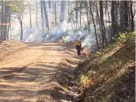  ?? Submitted photo ?? ■ A worker with the U.S. Forest Service lights a prescribed burn in the Black Fork Mountain Wilderness Area in the Ouachita National Forest. Photo is courtesy of Darwin Bult of the U.S. Forest Service.