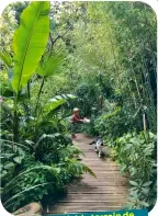  ??  ?? de Un formidable terrain d’apprentiss­age jeux et de la biodiversi­té.