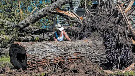  ?? SCOTT CLAUSE/THE DAILY ADVERTISER ?? Michael McDonald clears trees Saturday after Hurricane Delta passed through the area in Jennings, Louisiana.